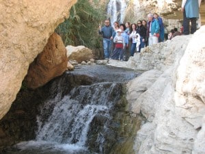 Ein Gedi  - Wadi David 